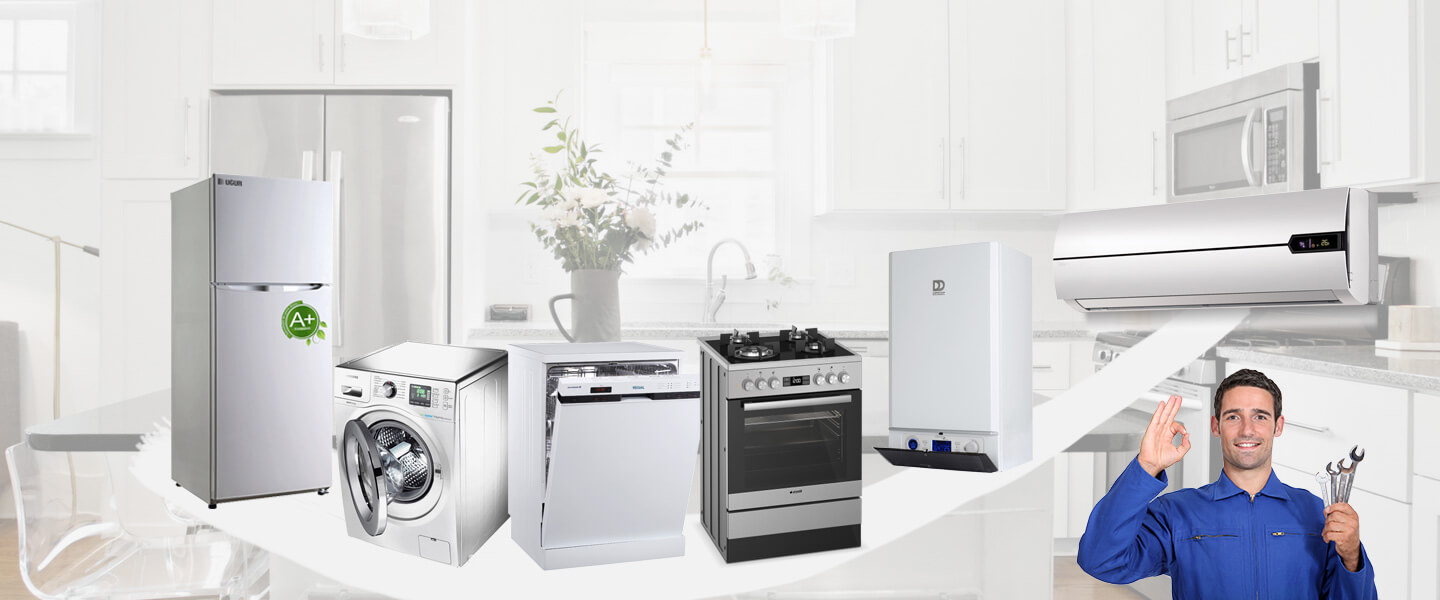 Vize Warmhaus Servisi